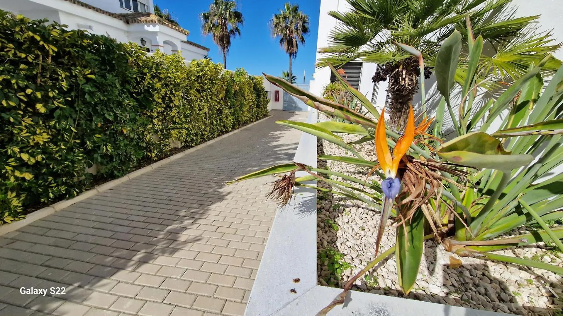 Boutelou Playa Con Vistas Al Mar Apartment Sanlucar de Barrameda