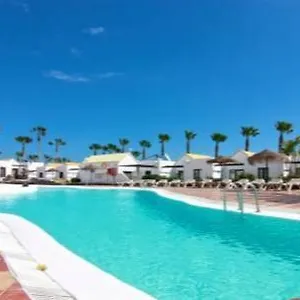 https://alegria-caleta-de-fuste.in-canary-islands.com